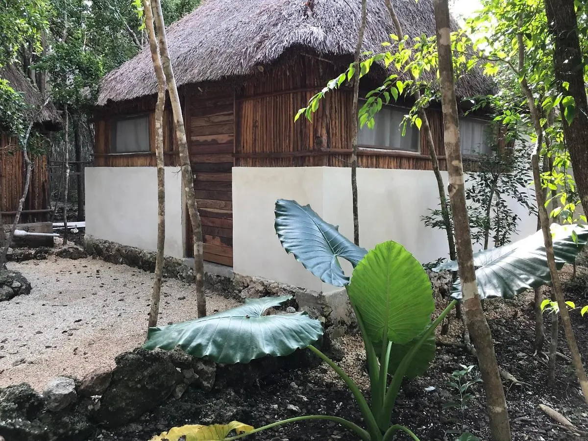 ** Hotel Bayou Tulum Mexico