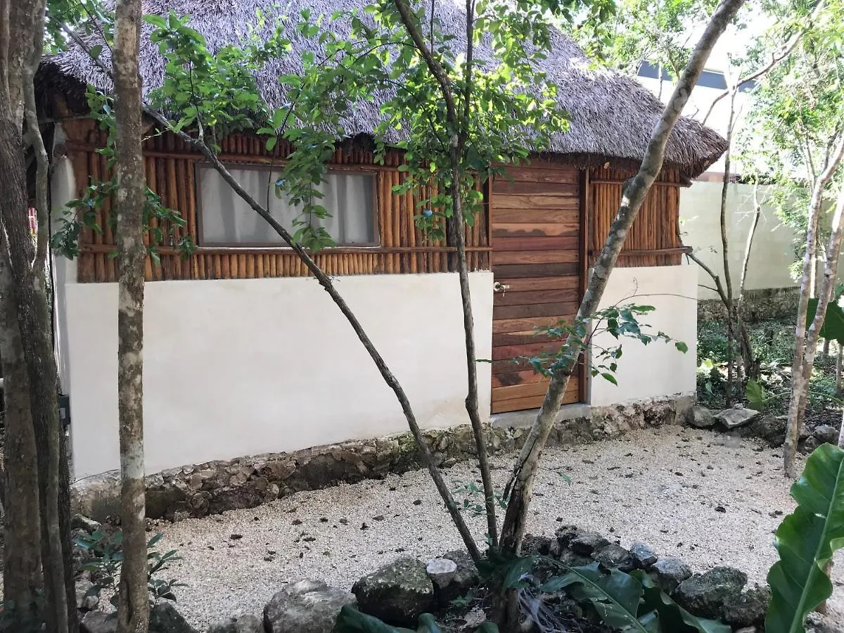 Hotel Bayou à Tulum 2*,  Mexique