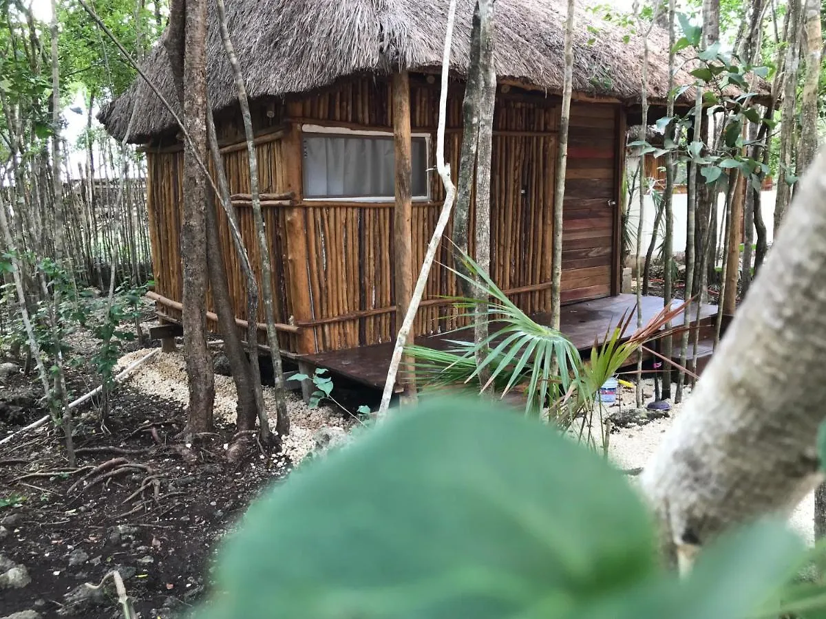 Hotel Bayou à Tulum