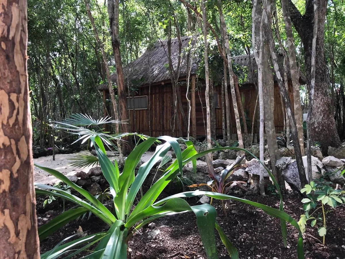 **  Hotel Bayou à Tulum Mexique