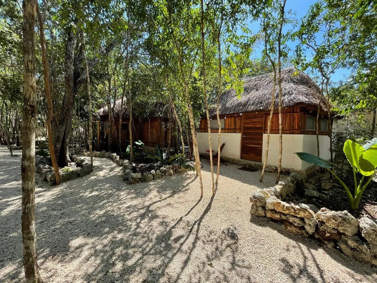 Hotel Bayou à Tulum