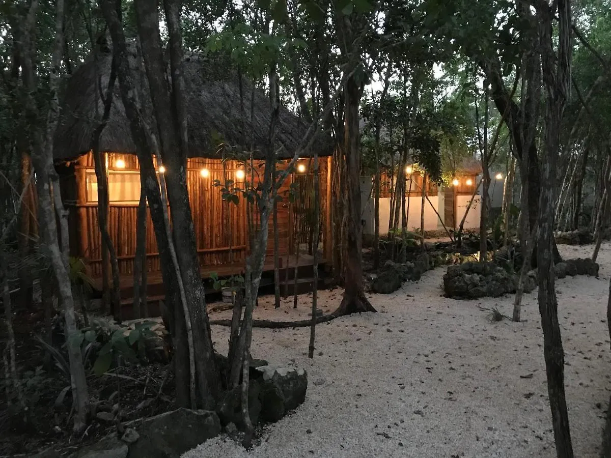 Hotel Bayou à Tulum