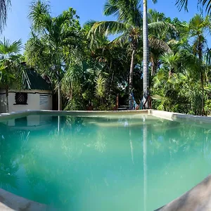 https://hostel-oryx.tulum-hotels.net