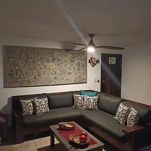 https://departamento-de-lujo-puerto-vallarta-mexico.hotelspuertovallarta.org